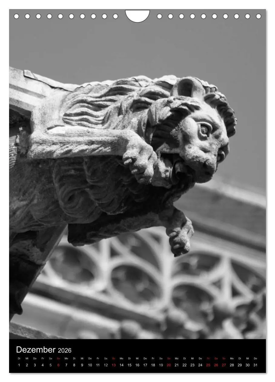 Bild: 9783516486902 | Wasserspeier am Ulmer Münster (Wandkalender 2026 DIN A4 hoch),...