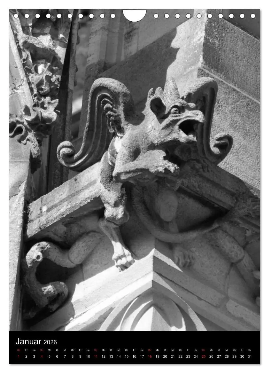 Bild: 9783516486902 | Wasserspeier am Ulmer Münster (Wandkalender 2026 DIN A4 hoch),...