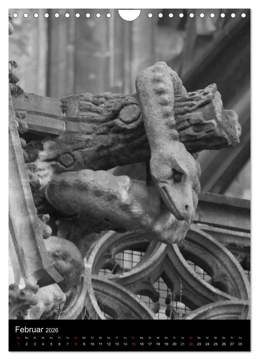 Bild: 9783516486902 | Wasserspeier am Ulmer Münster (Wandkalender 2026 DIN A4 hoch),...