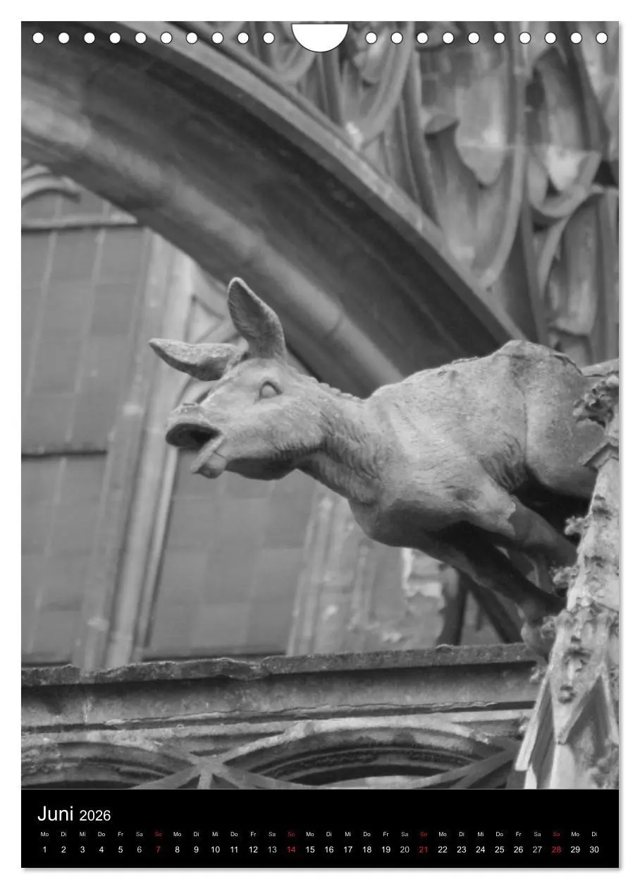 Bild: 9783516486902 | Wasserspeier am Ulmer Münster (Wandkalender 2026 DIN A4 hoch),...
