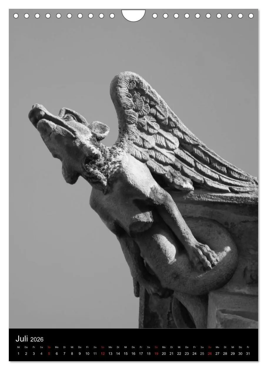 Bild: 9783516486902 | Wasserspeier am Ulmer Münster (Wandkalender 2026 DIN A4 hoch),...
