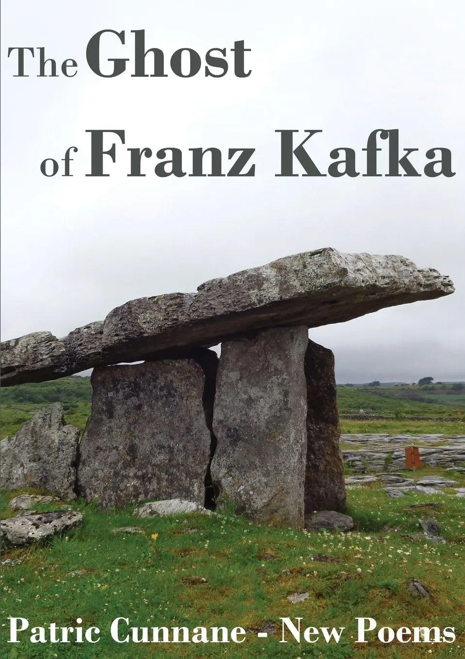 Cover: 9781911587002 | The Ghost of Franz Kafka | New Poems | Cunnane Patric | Taschenbuch