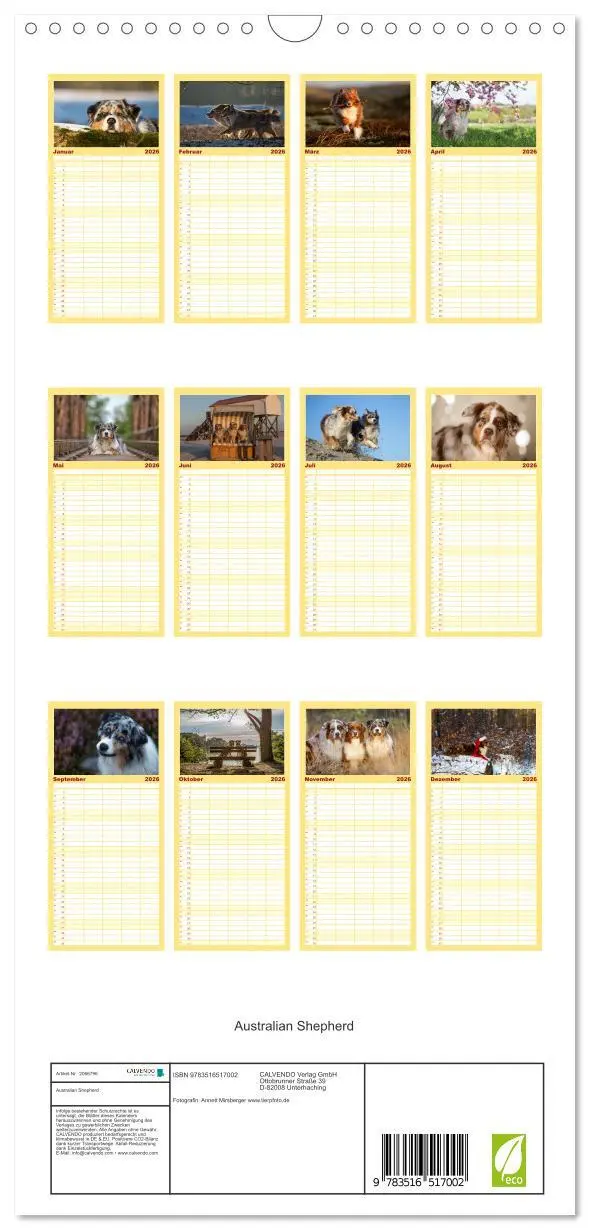 Bild: 9783516517002 | Familienplaner 2026 - Australian Shepherd mit 5 Spalten...