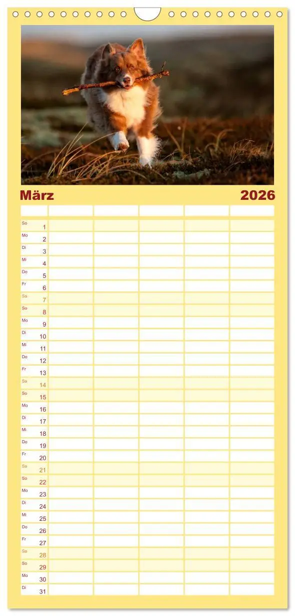 Bild: 9783516517002 | Familienplaner 2026 - Australian Shepherd mit 5 Spalten...