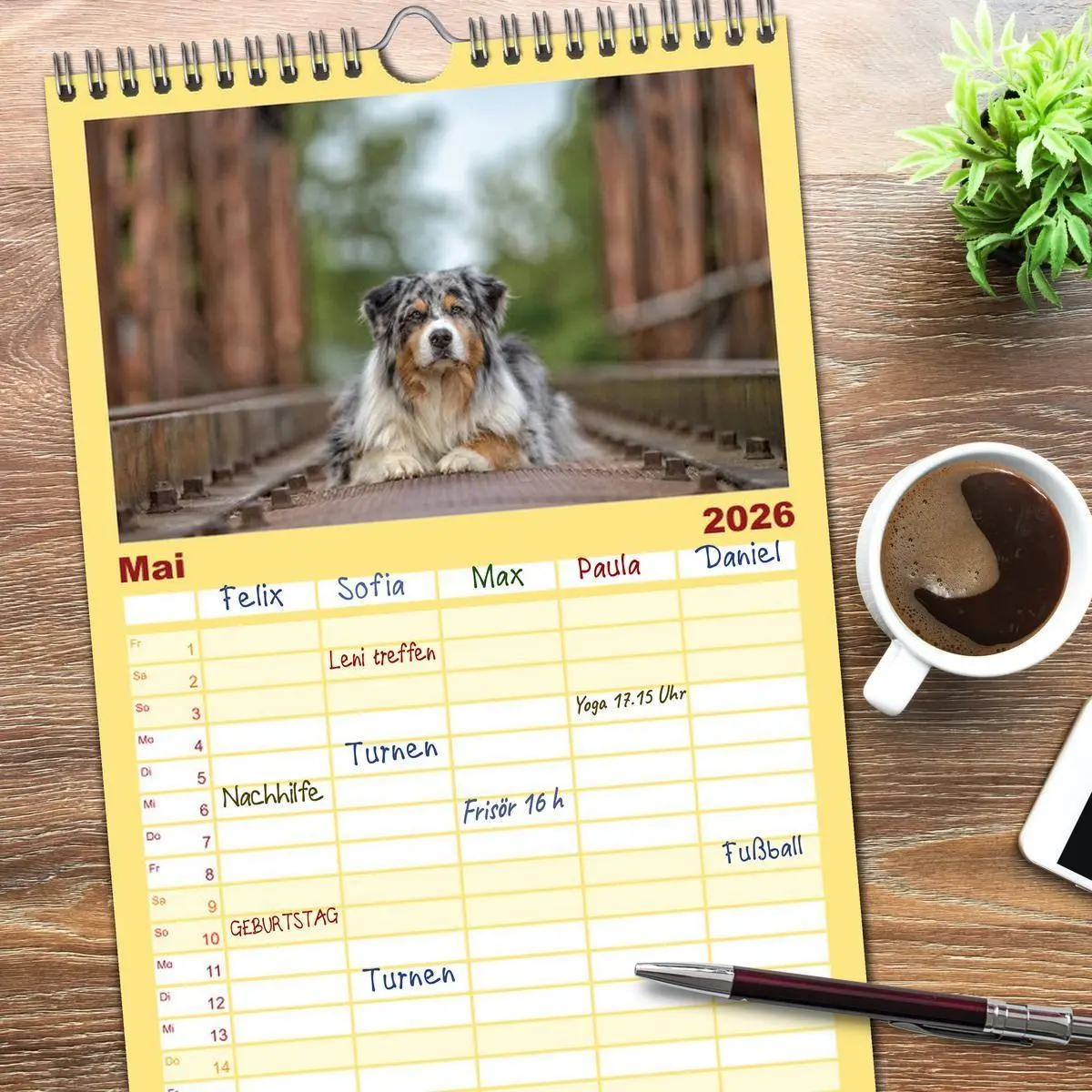 Bild: 9783516517002 | Familienplaner 2026 - Australian Shepherd mit 5 Spalten...