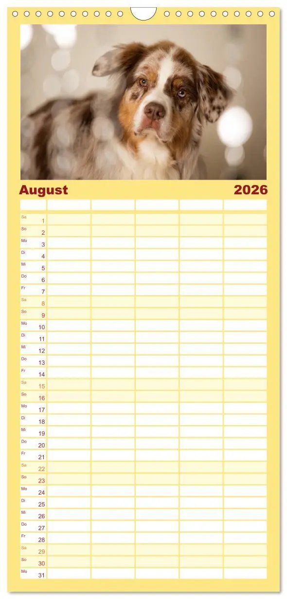 Bild: 9783516517002 | Familienplaner 2026 - Australian Shepherd mit 5 Spalten...