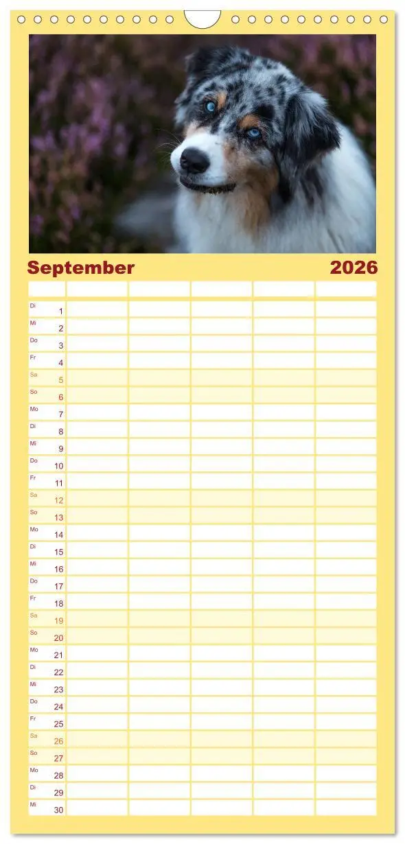 Bild: 9783516517002 | Familienplaner 2026 - Australian Shepherd mit 5 Spalten...