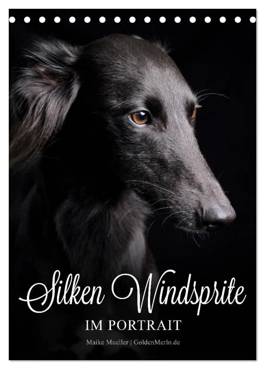 Cover: 9783569847002 | Silken Windsprite im Portrait (Tischkalender 2027 DIN A5 hoch),...