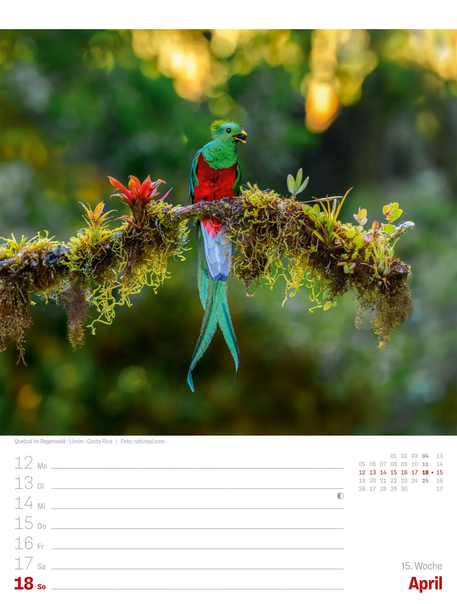 Bild: 9783838437002 | Planet Erde Wochenplaner Kalender 2027 Landschaften der Welt | GmbH