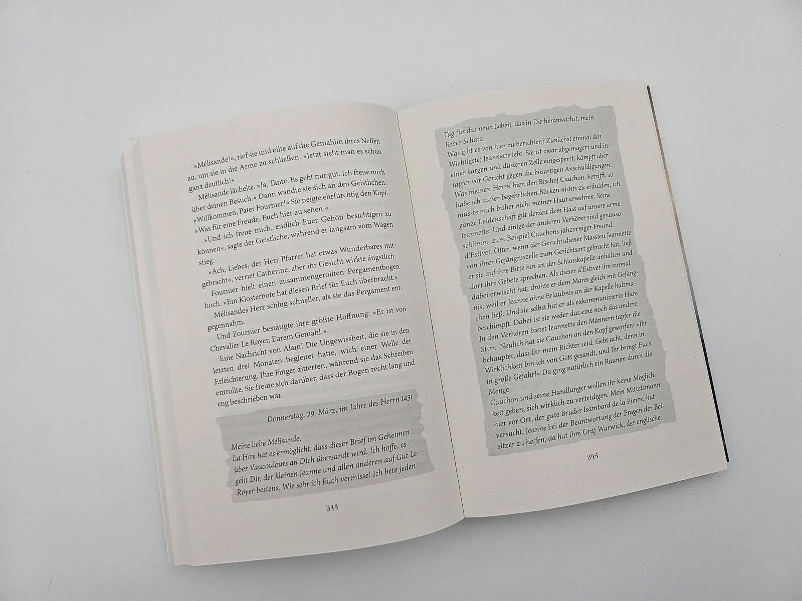 Bild: 9783492067102 | Die Jungfrau von Orleans | Jørn Precht | Taschenbuch | 432 S. | 2025