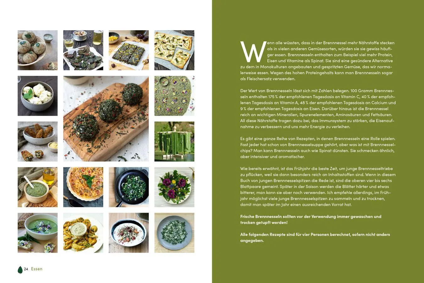 Bild: 9783818627102 | Brennnessel | Das Multitalent - von Salat bis Seife | Meer | Buch