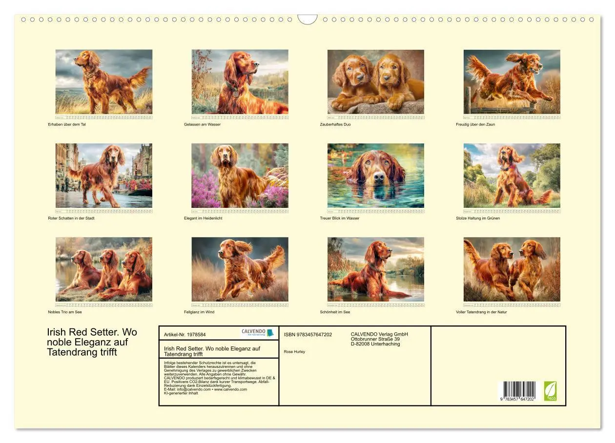 Bild: 9783457647202 | Irish Red Setter. Wo noble Eleganz auf Tatendrang trifft...
