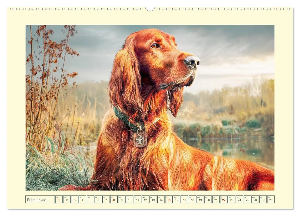Bild: 9783457647202 | Irish Red Setter. Wo noble Eleganz auf Tatendrang trifft...