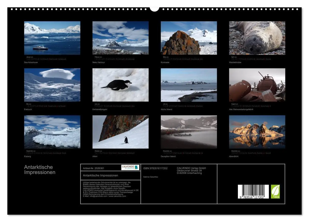 Bild: 9783516117202 | Antarktische Impressionen (hochwertiger Premium Wandkalender 2026...