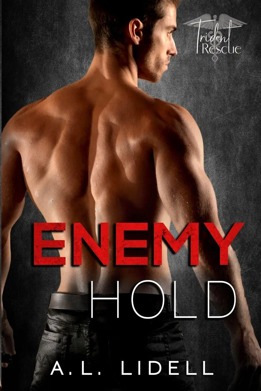Cover: 9781949347302 | Enemy Hold | A. L. Lidell | Taschenbuch | Englisch | 2021