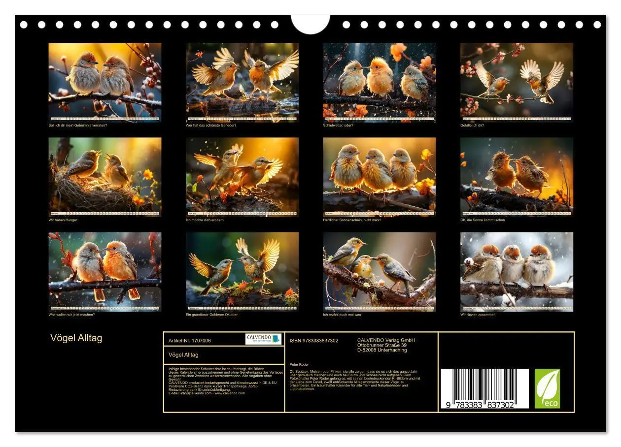 Bild: 9783383837302 | Vögel Alltag (Wandkalender 2025 DIN A4 quer), CALVENDO Monatskalender