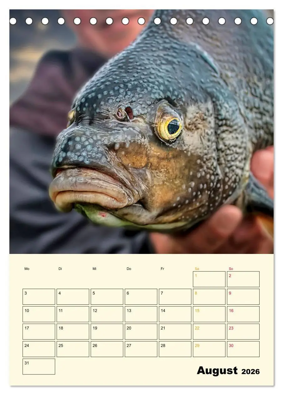 Bild: 9783516347302 | Angeln - extrem faszinierend (Tischkalender 2026 DIN A5 hoch),...