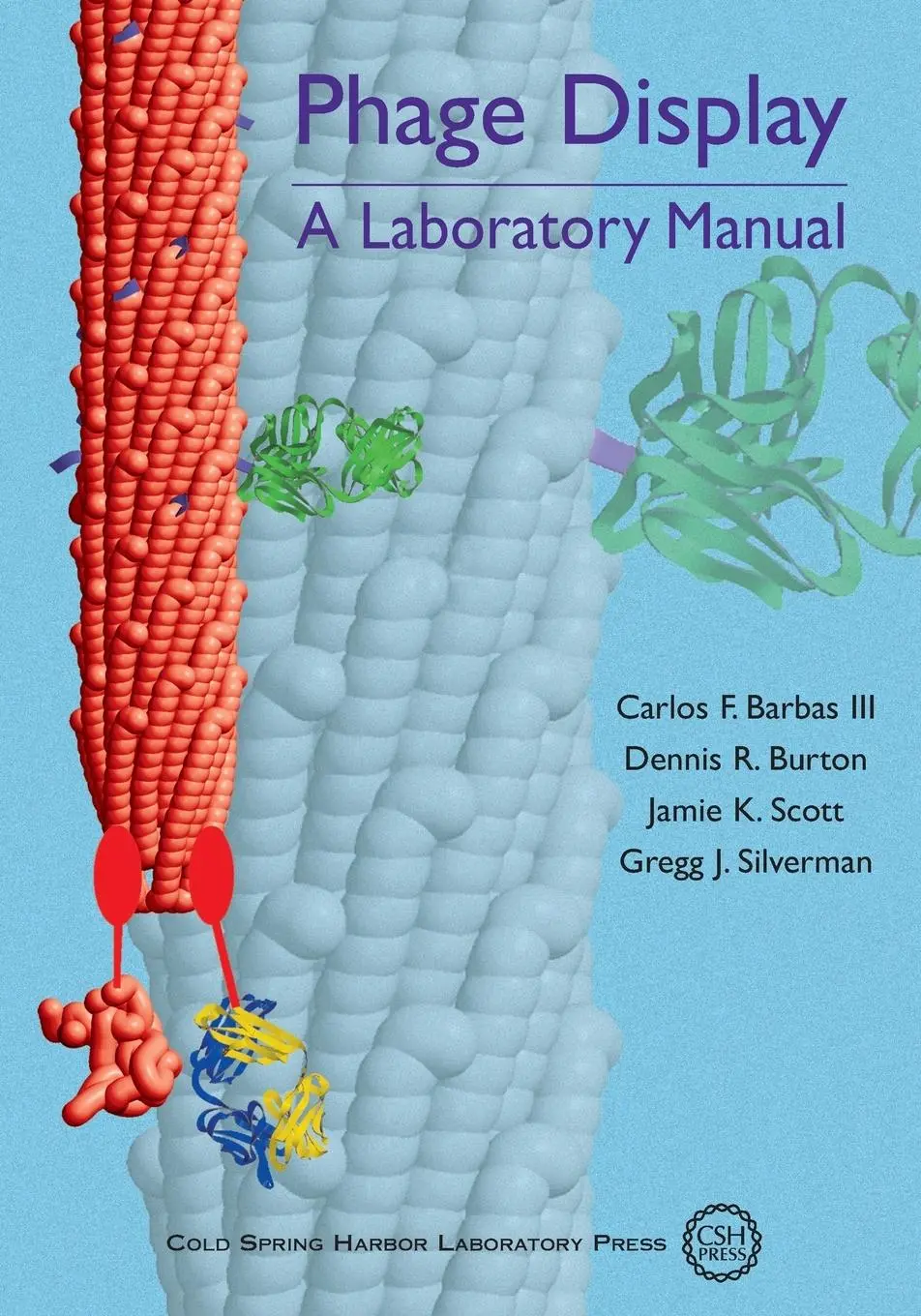 Cover: 9780879697402 | Phage Display | A Laboratory Manual | Carlos F Barbas III (u. a.)