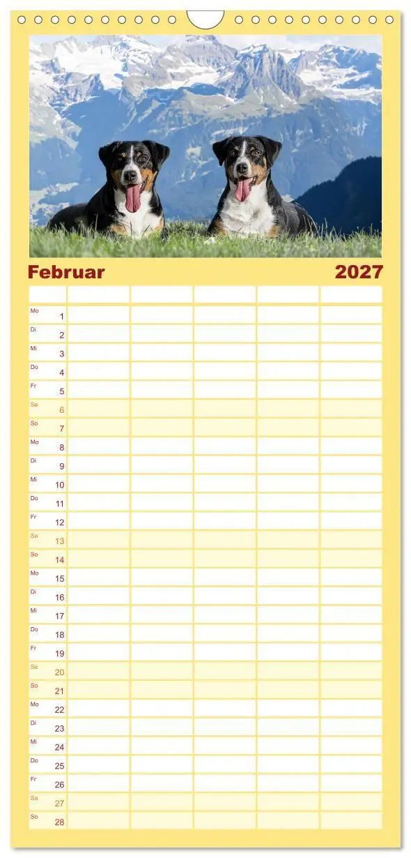 Bild: 9783594317402 | Familienplaner 2027 - Appenzeller Sennenhunde - Fröhliche Kameraden...
