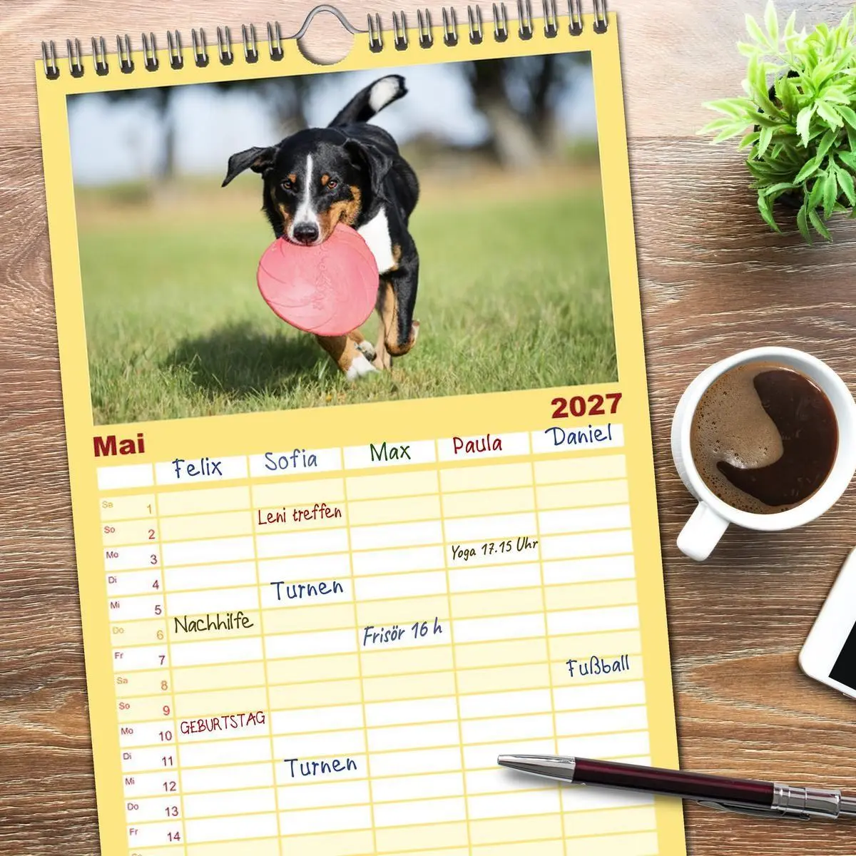 Bild: 9783594317402 | Familienplaner 2027 - Appenzeller Sennenhunde - Fröhliche Kameraden...