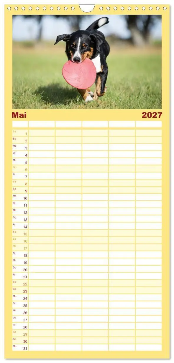 Bild: 9783594317402 | Familienplaner 2027 - Appenzeller Sennenhunde - Fröhliche Kameraden...