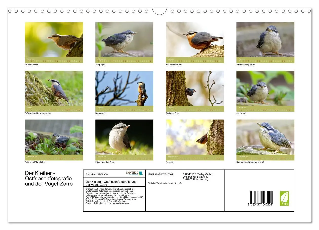 Bild: 9783457547502 | Der Kleiber - Ostfriesenfotografie und der Vogel-Zorro...