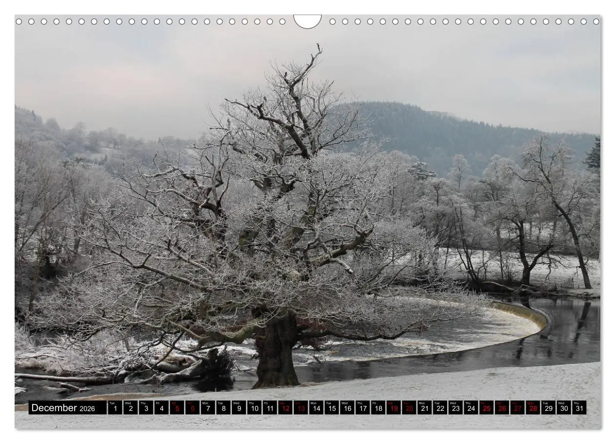 Bild: 9783516567502 | Welsh Landscapes (Wall Calendar 2026 DIN A3 landscape), CALVENDO 12...