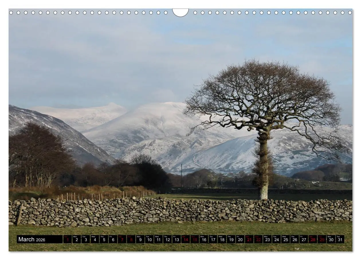 Bild: 9783516567502 | Welsh Landscapes (Wall Calendar 2026 DIN A3 landscape), CALVENDO 12...