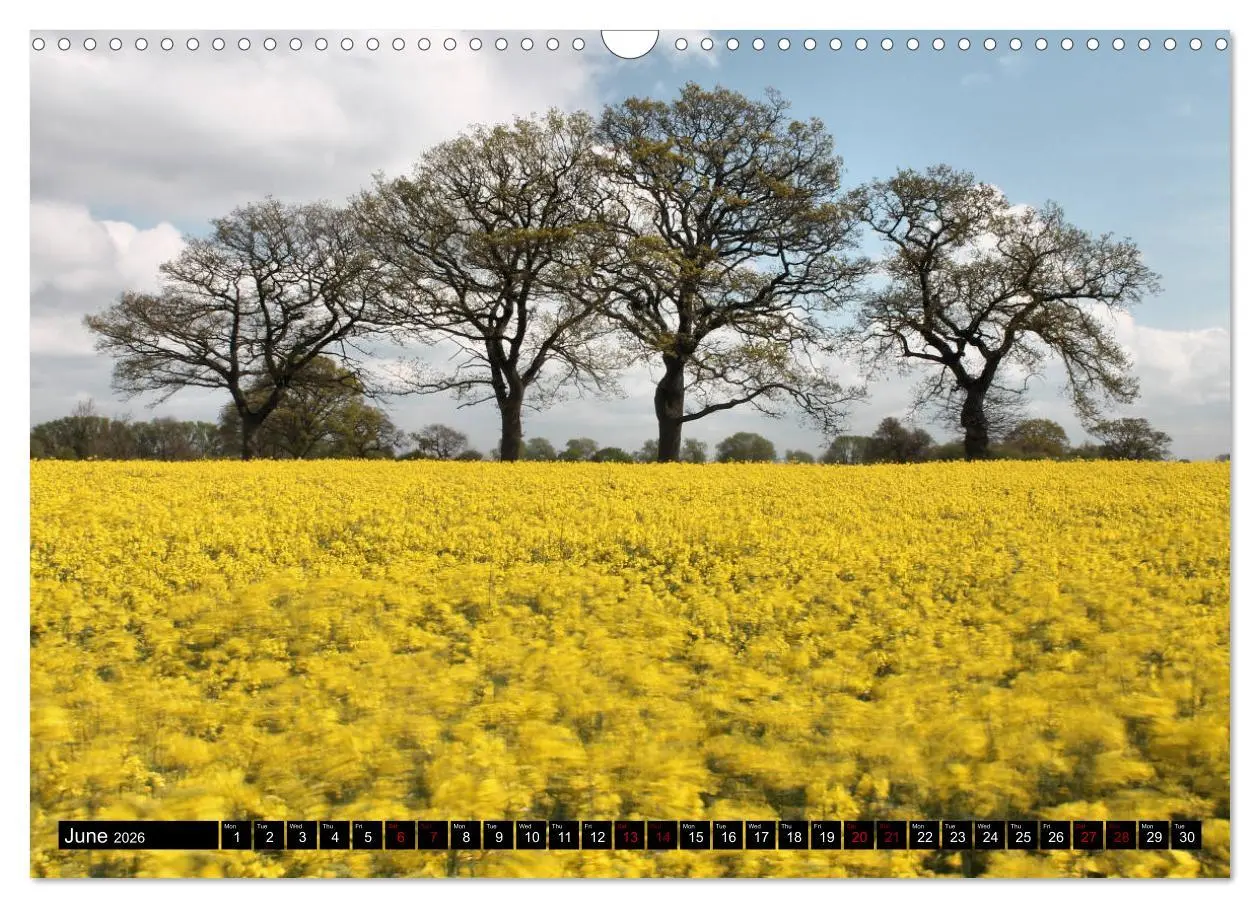 Bild: 9783516567502 | Welsh Landscapes (Wall Calendar 2026 DIN A3 landscape), CALVENDO 12...