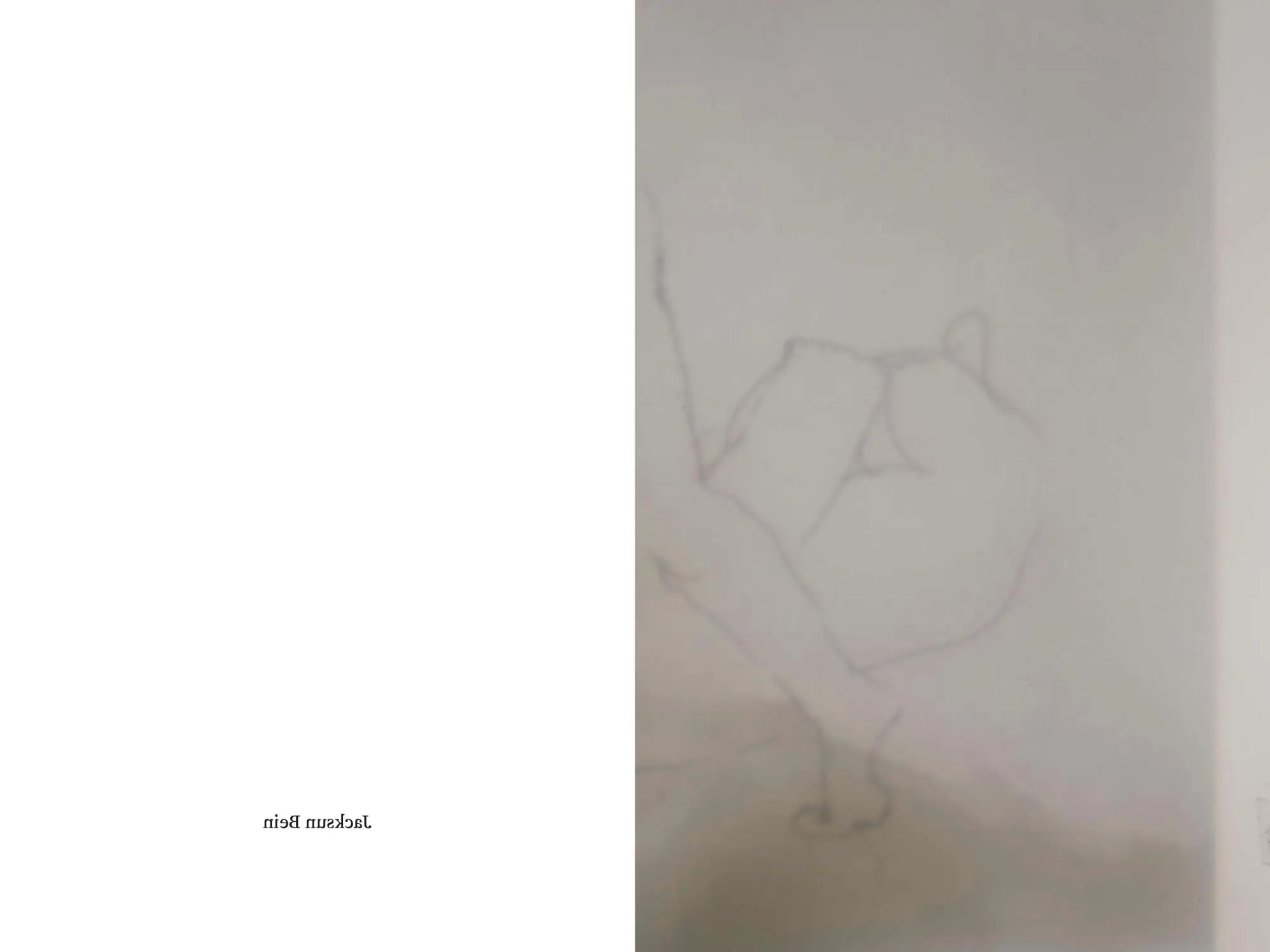 Bild: 9783954767502 | Half State | Tolia Astakhishvili (u. a.) | Taschenbuch | 112 S. | 2026