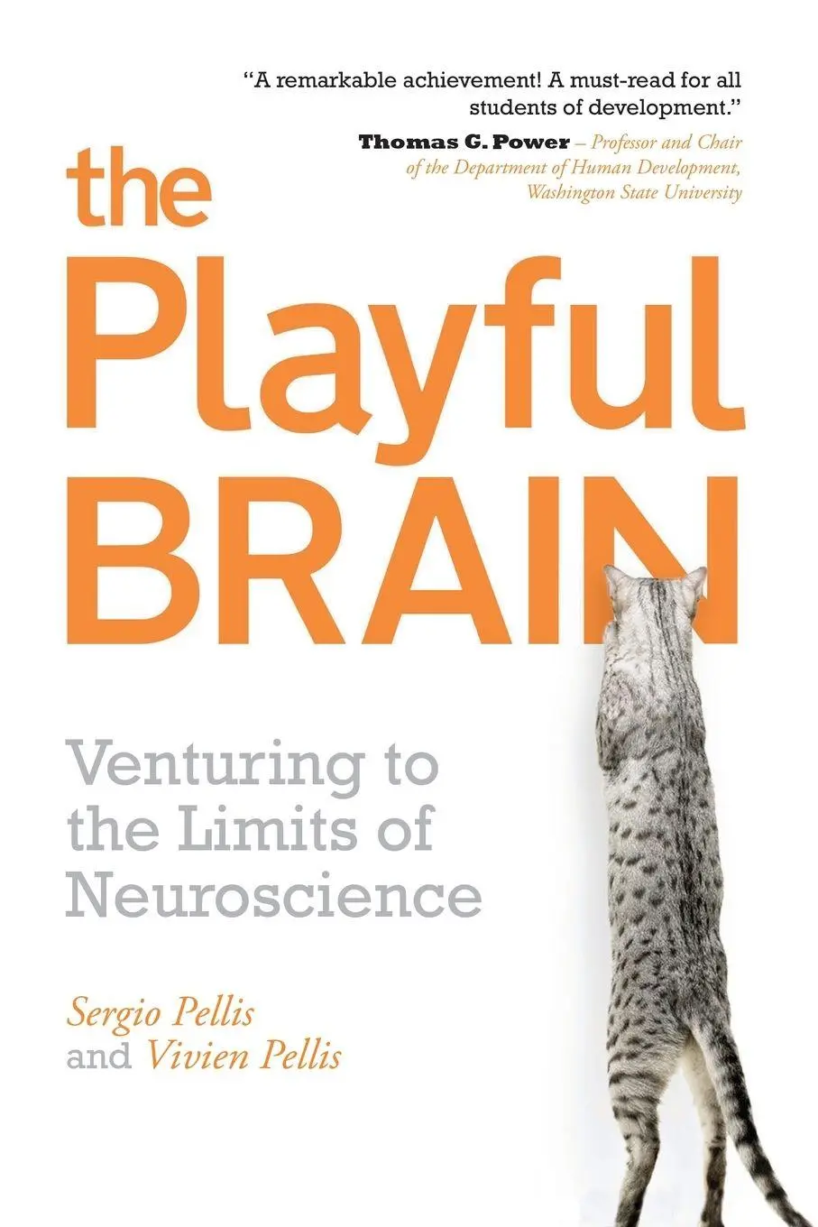 Cover: 9781851687602 | Playful Brain | Venturing to the Limits of Neuroscience | Taschenbuch