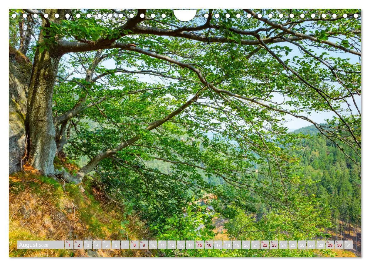 Bild: 9783457777602 | Naturpark Zittauer Gebirge (Wandkalender 2026 DIN A4 quer),...