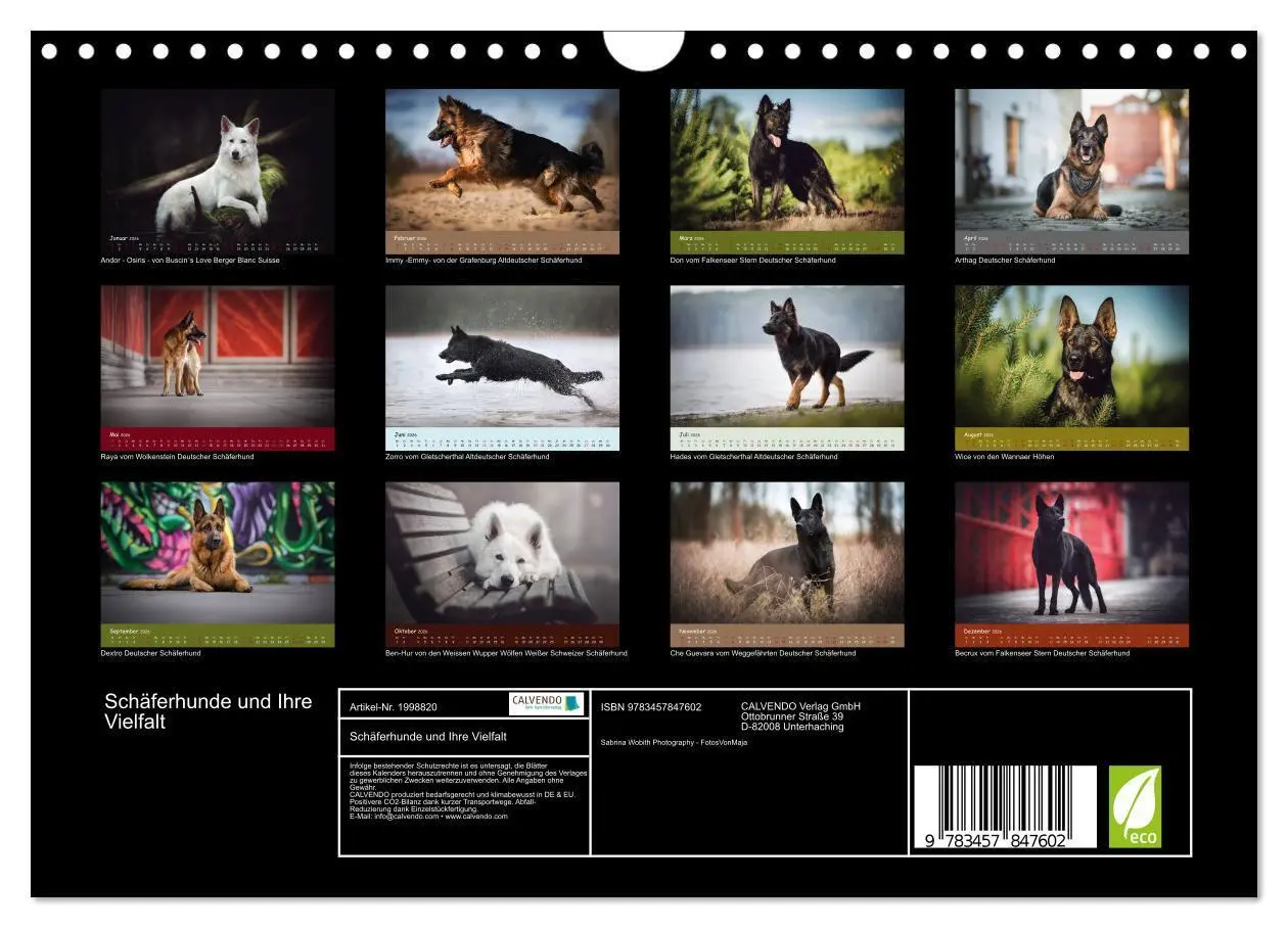 Bild: 9783457847602 | Schäferhunde und Ihre Vielfalt (Wandkalender 2026 DIN A4 quer),...