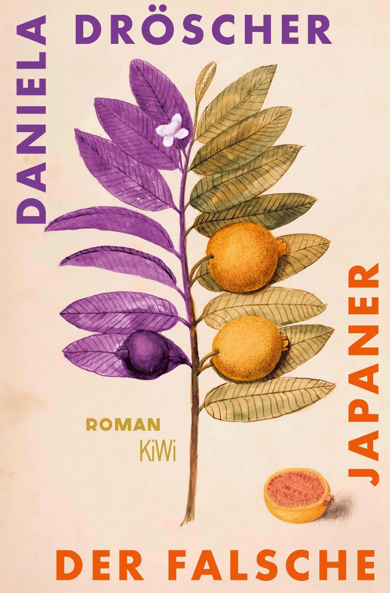 Cover: 9783462007602 | Der falsche Japaner | Roman | Daniela Dröscher | Taschenbuch | 336 S.