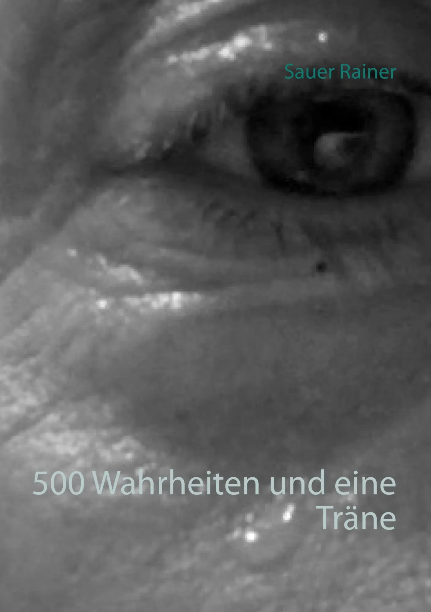 Cover: 9783743197602 | 500 Wahrheiten und eine Träne | Rainer Sauer | Taschenbuch | 276 S.
