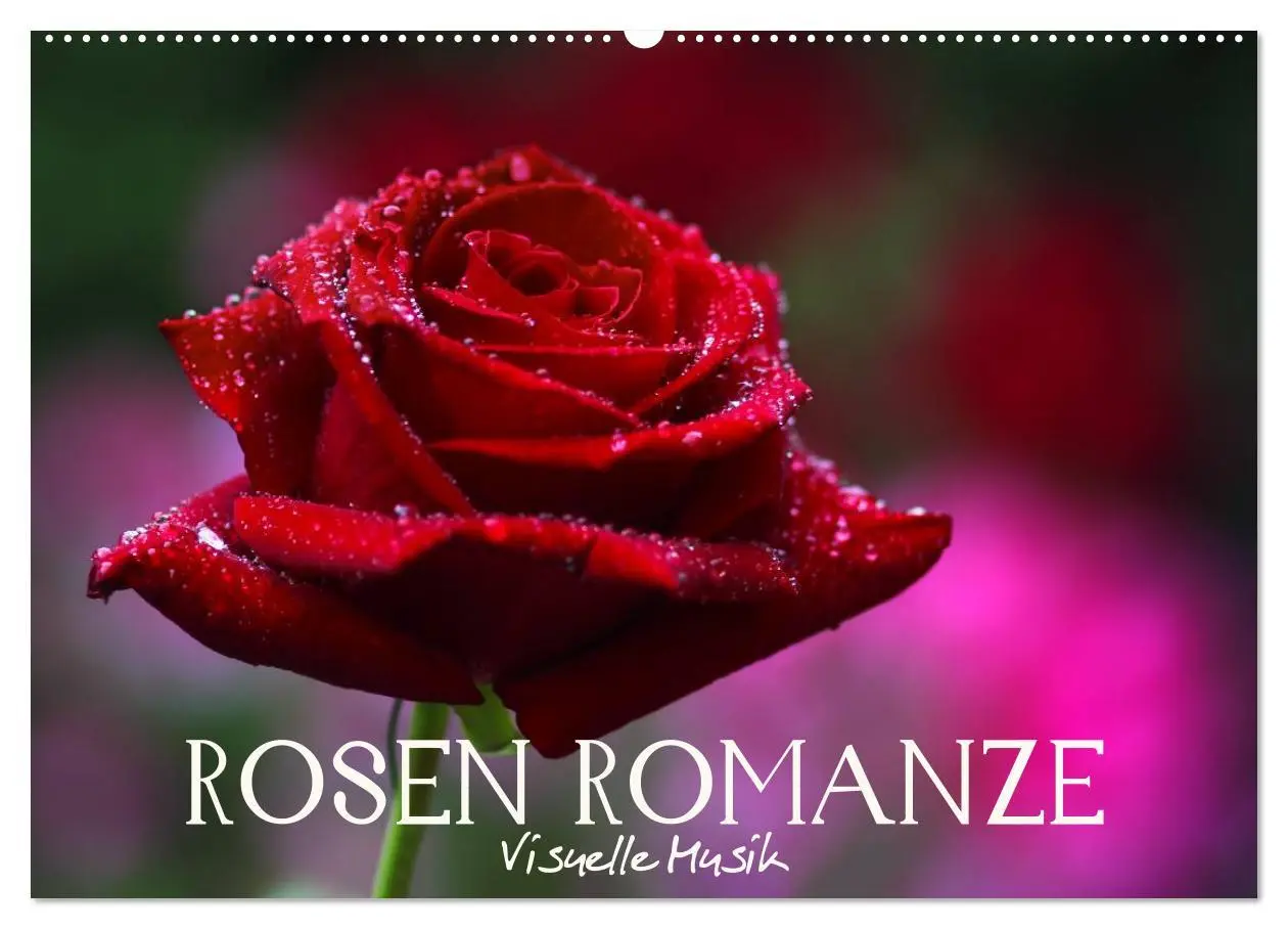 Cover: 9783516097702 | Rosen Romanze - Visuelle Musik (Wandkalender 2026 DIN A2 quer),...