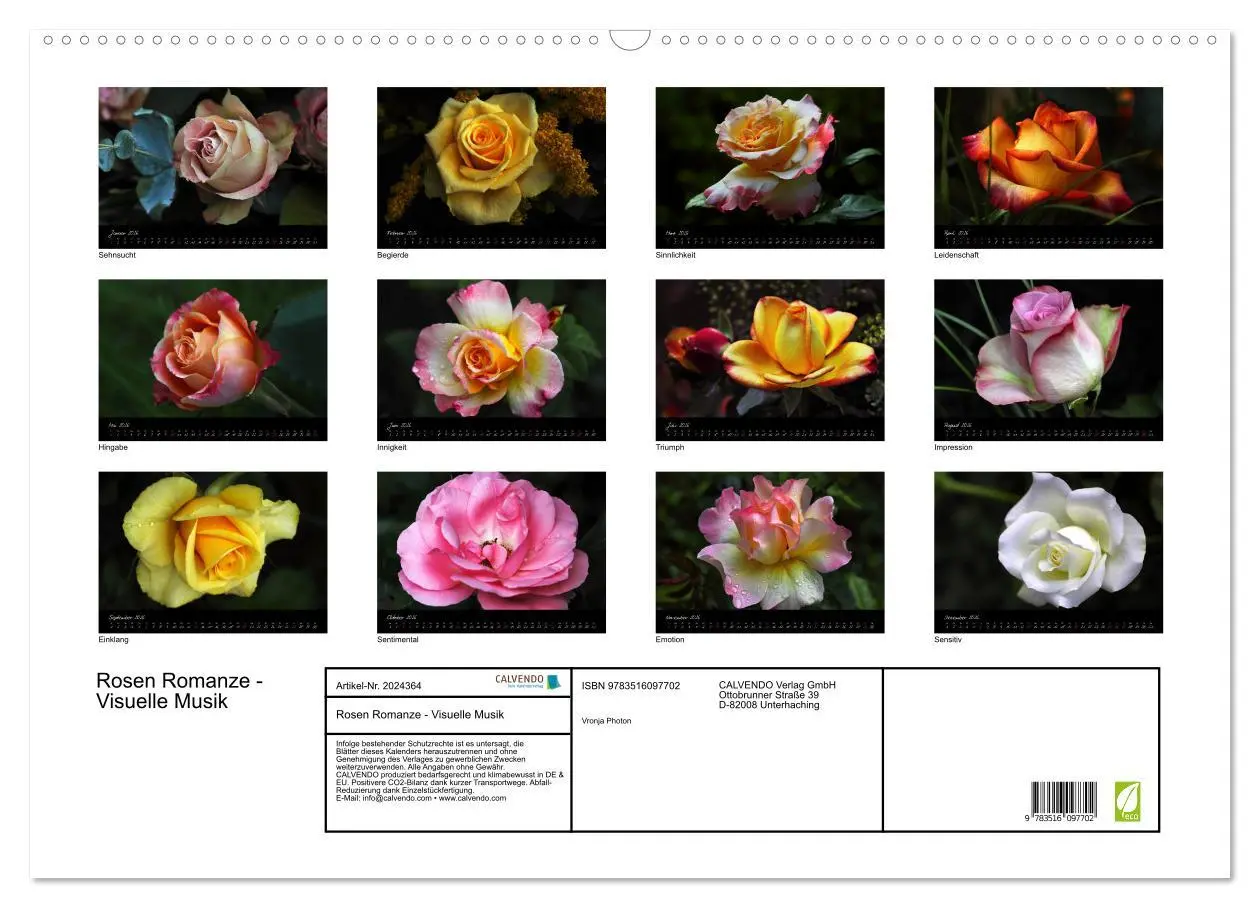 Bild: 9783516097702 | Rosen Romanze - Visuelle Musik (Wandkalender 2026 DIN A2 quer),...