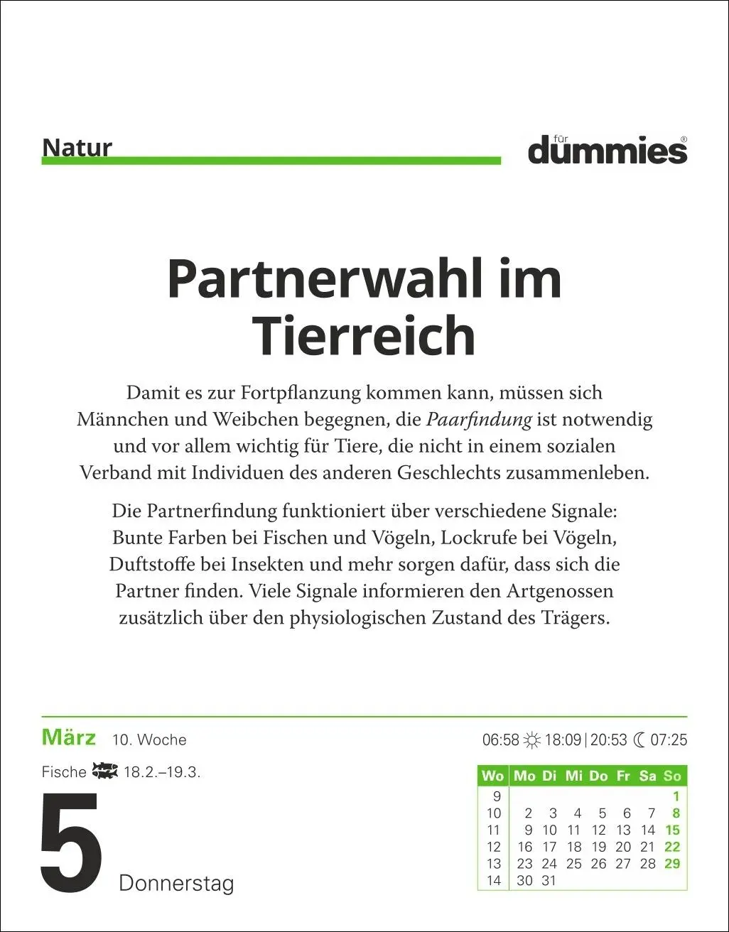 Bild: 9783840037702 | Die Welt erklärt für Dummies Tagesabreißkalender 2026 | Kalender