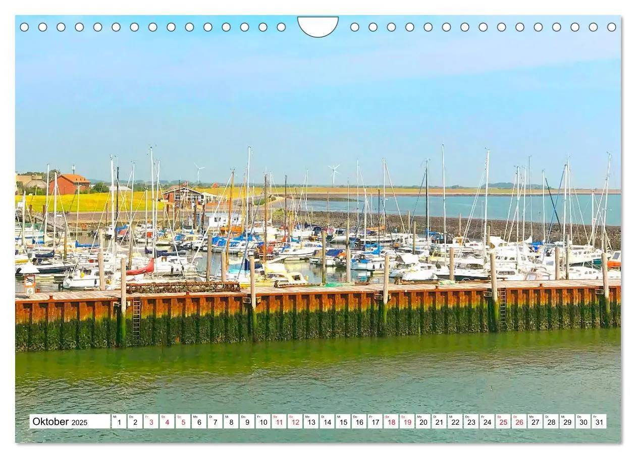 Bild: 9783435117802 | Föhr - Insel mit ganz speziellem Charme (Wandkalender 2025 DIN A4...