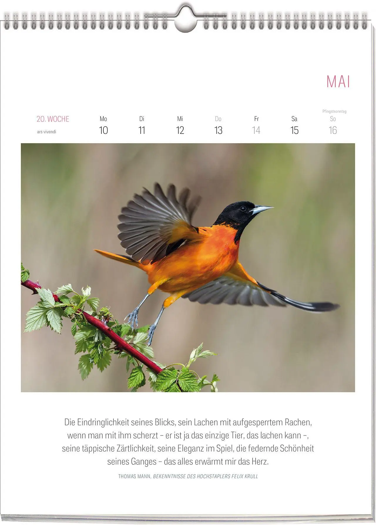 Bild: 9783747207802 | Literarischer Vogel Kalender 2027 | Wochenkalender | Vivendi Ars