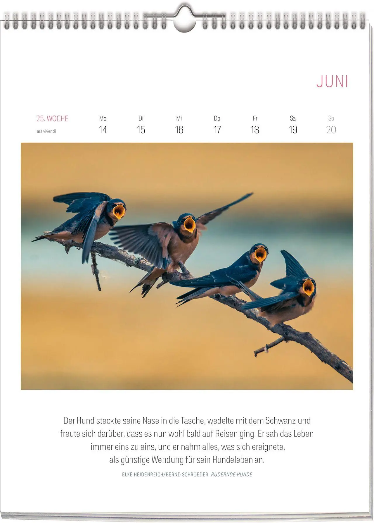 Bild: 9783747207802 | Literarischer Vogel Kalender 2027 | Wochenkalender | Vivendi Ars