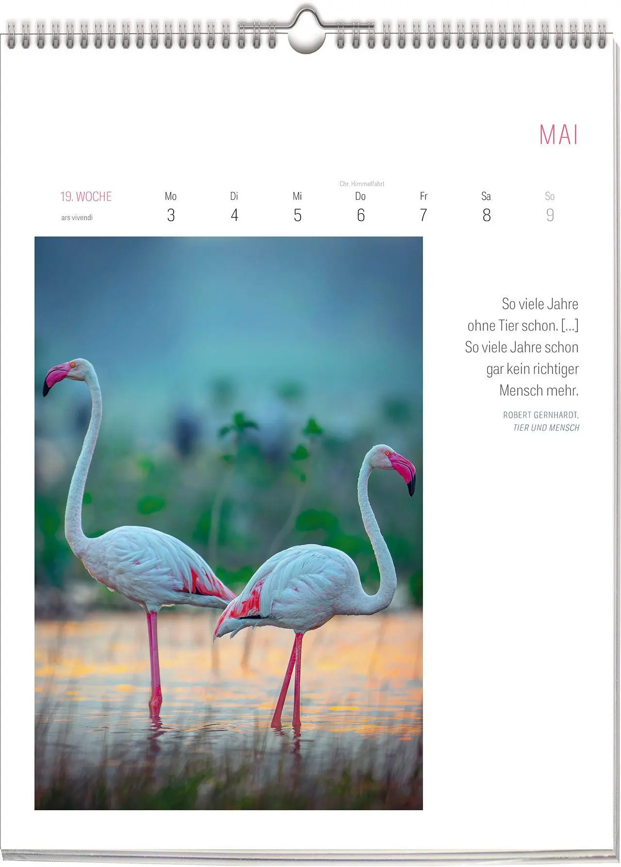 Bild: 9783747207802 | Literarischer Vogel Kalender 2027 | Wochenkalender | Vivendi Ars