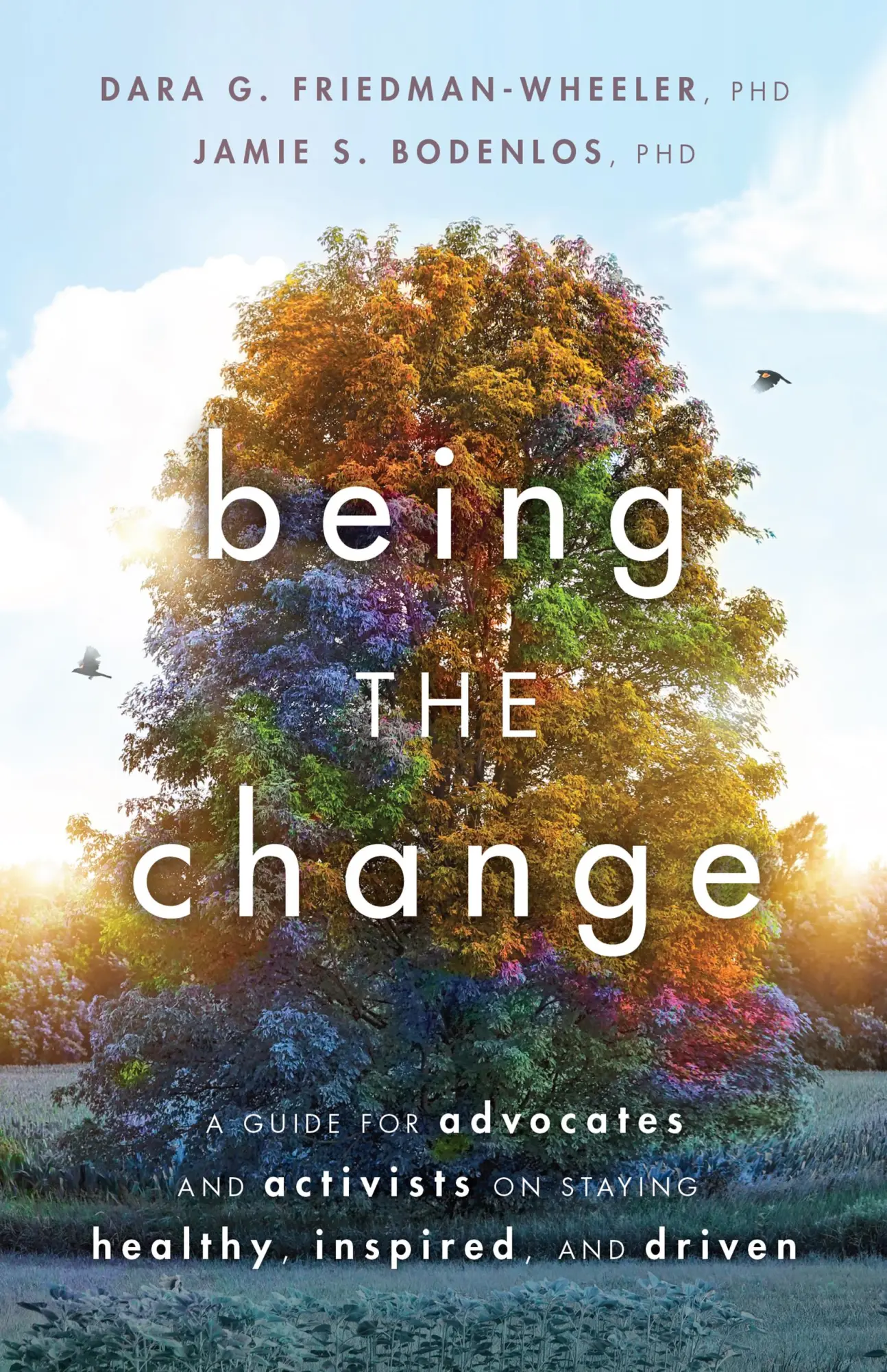 Cover: 9781433838002 | Being the Change | Dara G Friedman-Wheeler (u. a.) | Taschenbuch