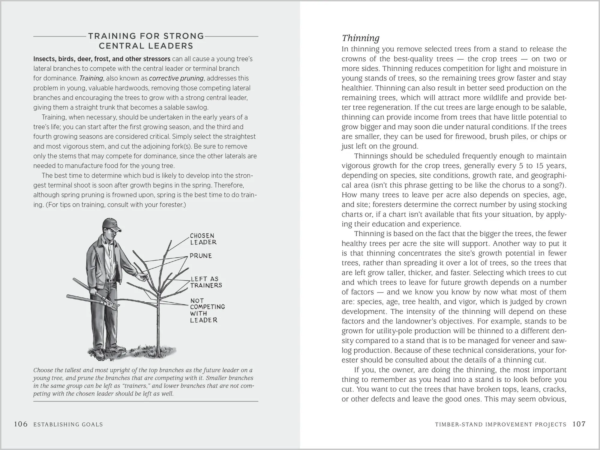 Bild: 9781603428002 | A Landowner's Guide to Managing Your Woods | Ann Larkin Hansen | Buch