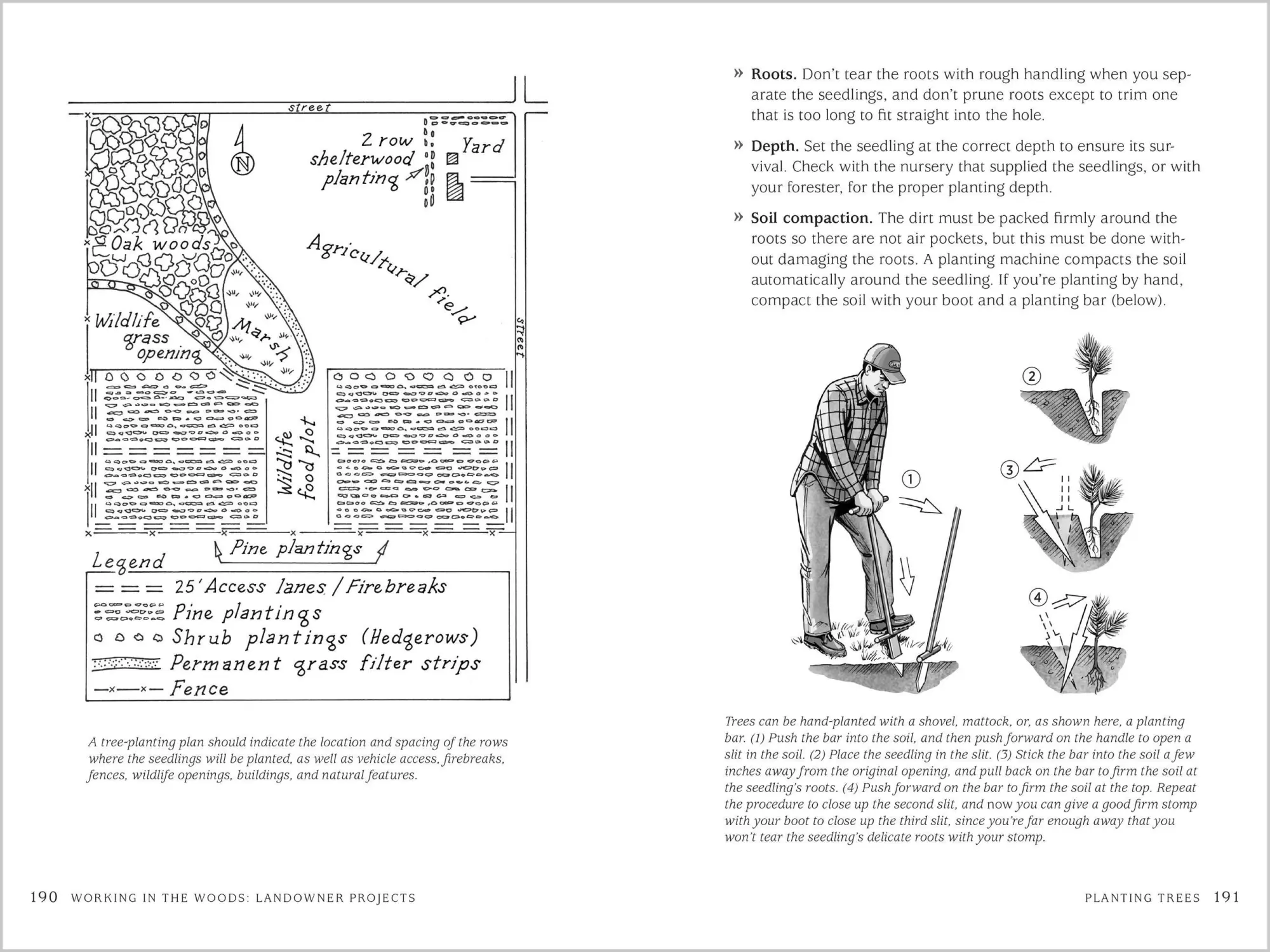 Bild: 9781603428002 | A Landowner's Guide to Managing Your Woods | Ann Larkin Hansen | Buch