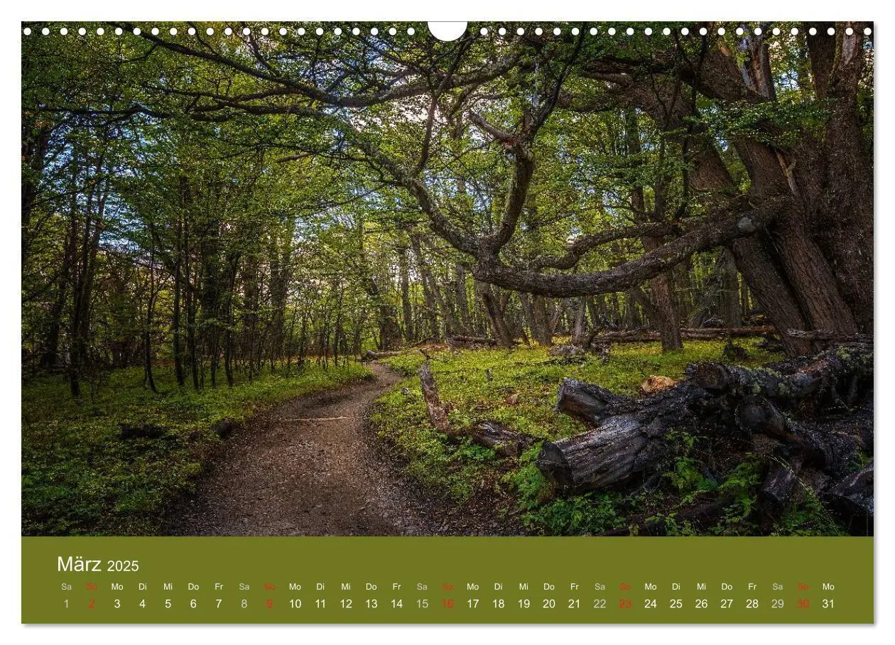 Bild: 9783435608102 | Farbenfrohes Patagonien (Wandkalender 2025 DIN A3 quer), CALVENDO...