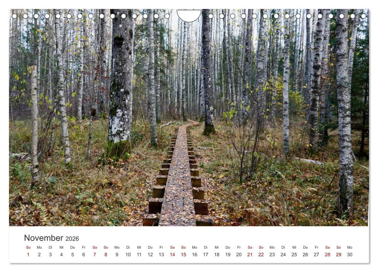 Bild: 9783457938102 | Estland - Pittoreske Schönheit im Baltikum (Wandkalender 2026 DIN...