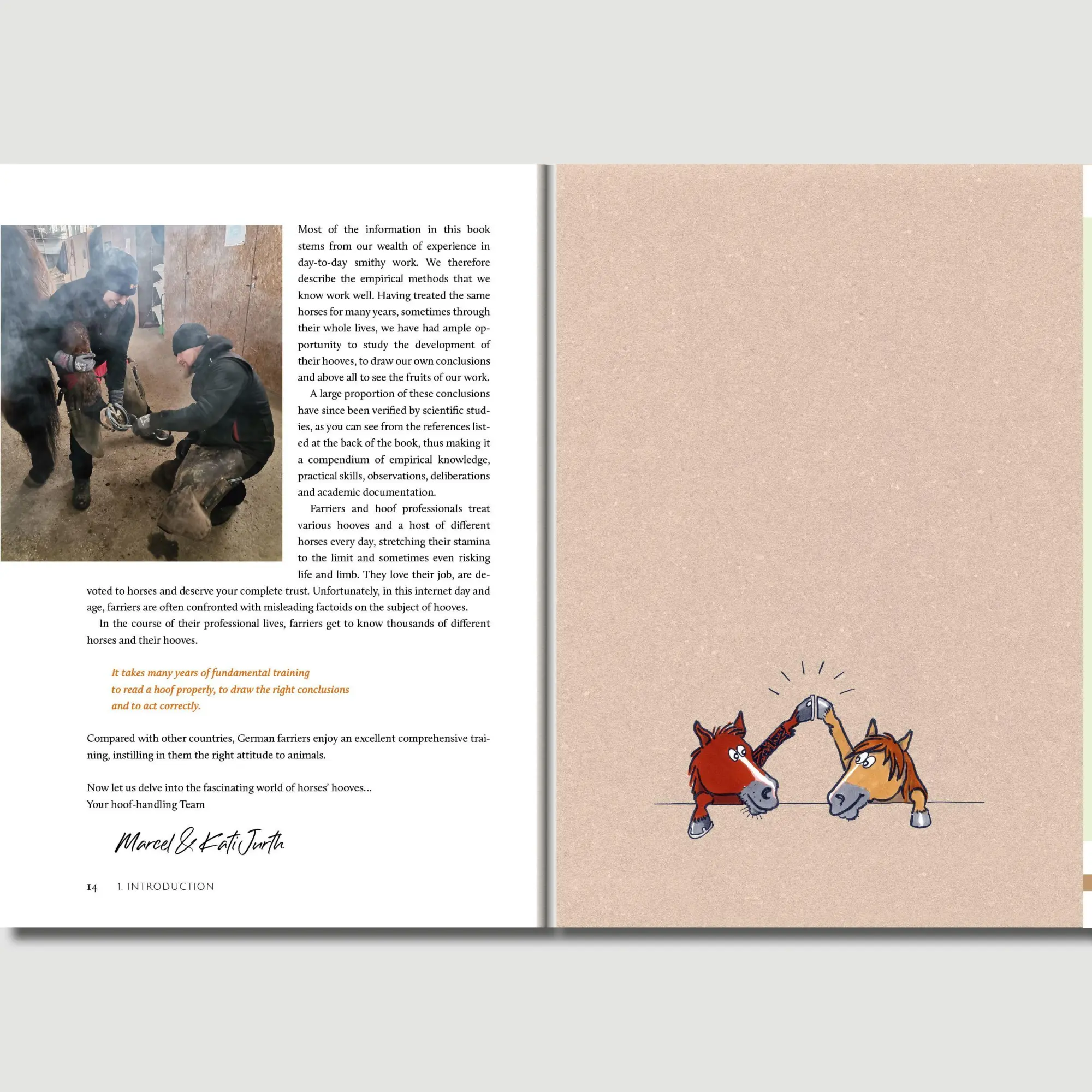 Bild: 9783758208102 | Hoofwork | A Handbook on the Equine Hoof | Kati Jurth | Taschenbuch