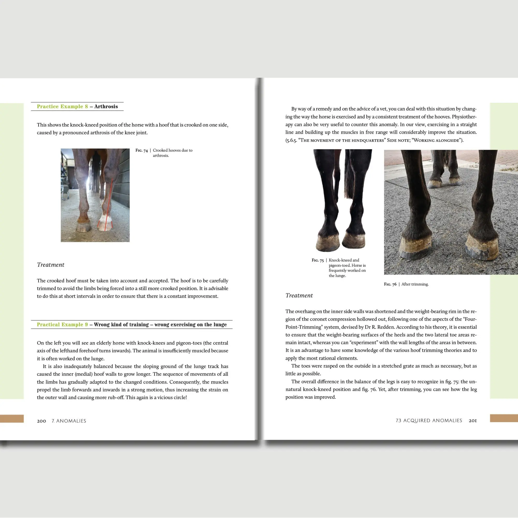 Bild: 9783758208102 | Hoofwork | A Handbook on the Equine Hoof | Kati Jurth | Taschenbuch
