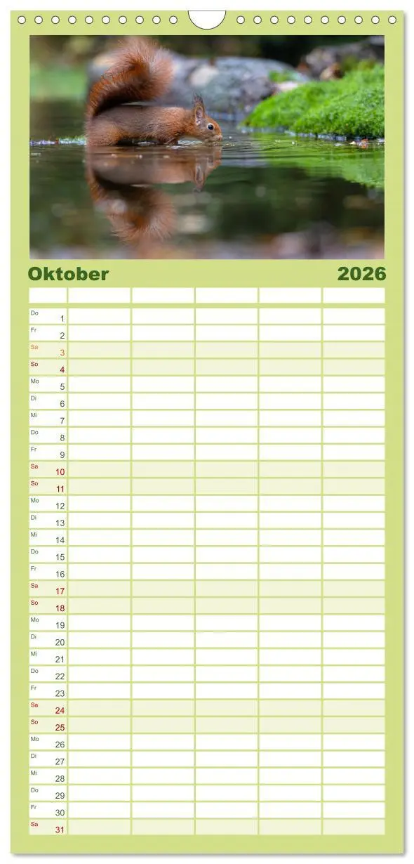 Bild: 9783516498202 | Familienplaner 2026 - Süße Nager mit 5 Spalten (Wandkalender, 21 x...